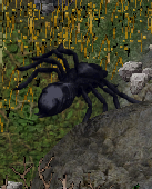 Malefic02
