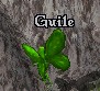 guile02